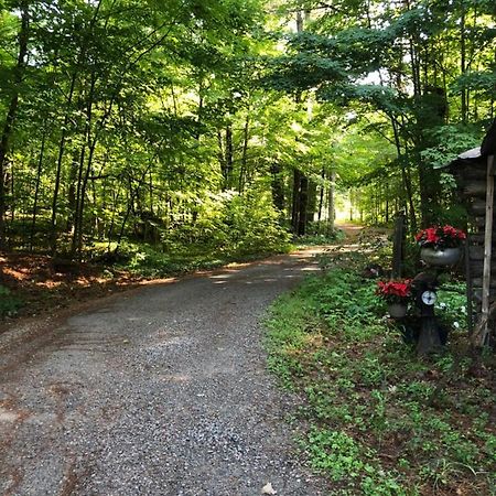 Country Living Bed & Breakfast Gravenhurst Exterior foto